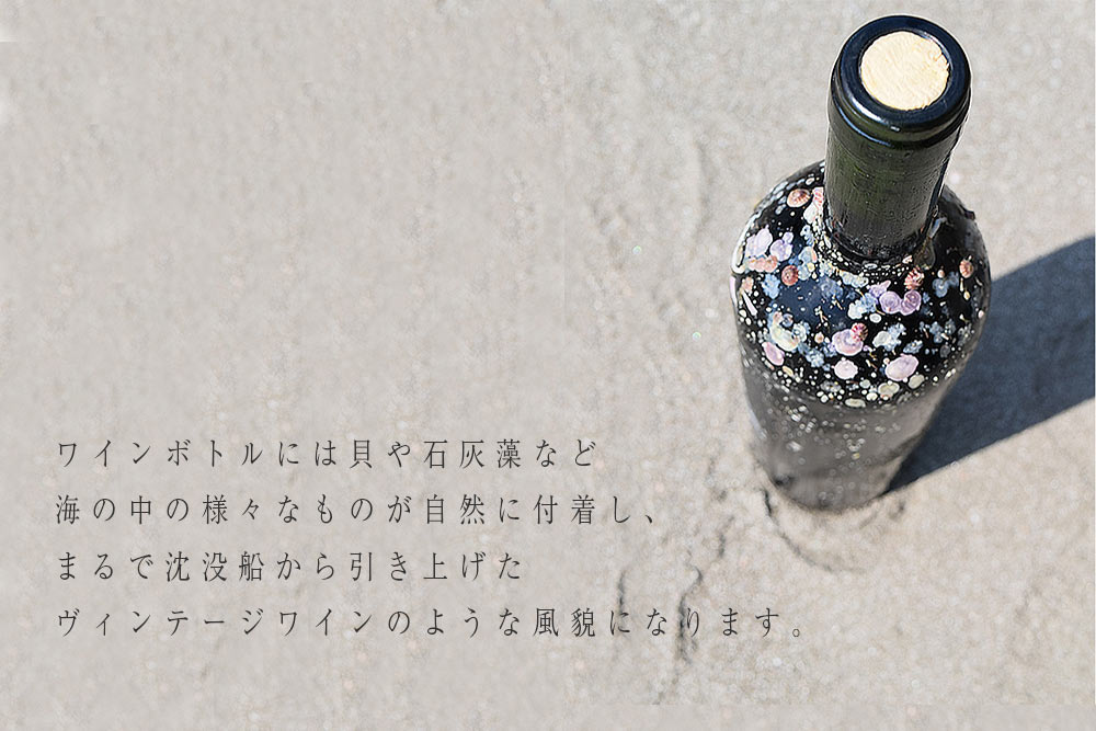 海底熟成ワイン海辺