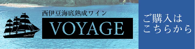 VOYAGE通販サイト