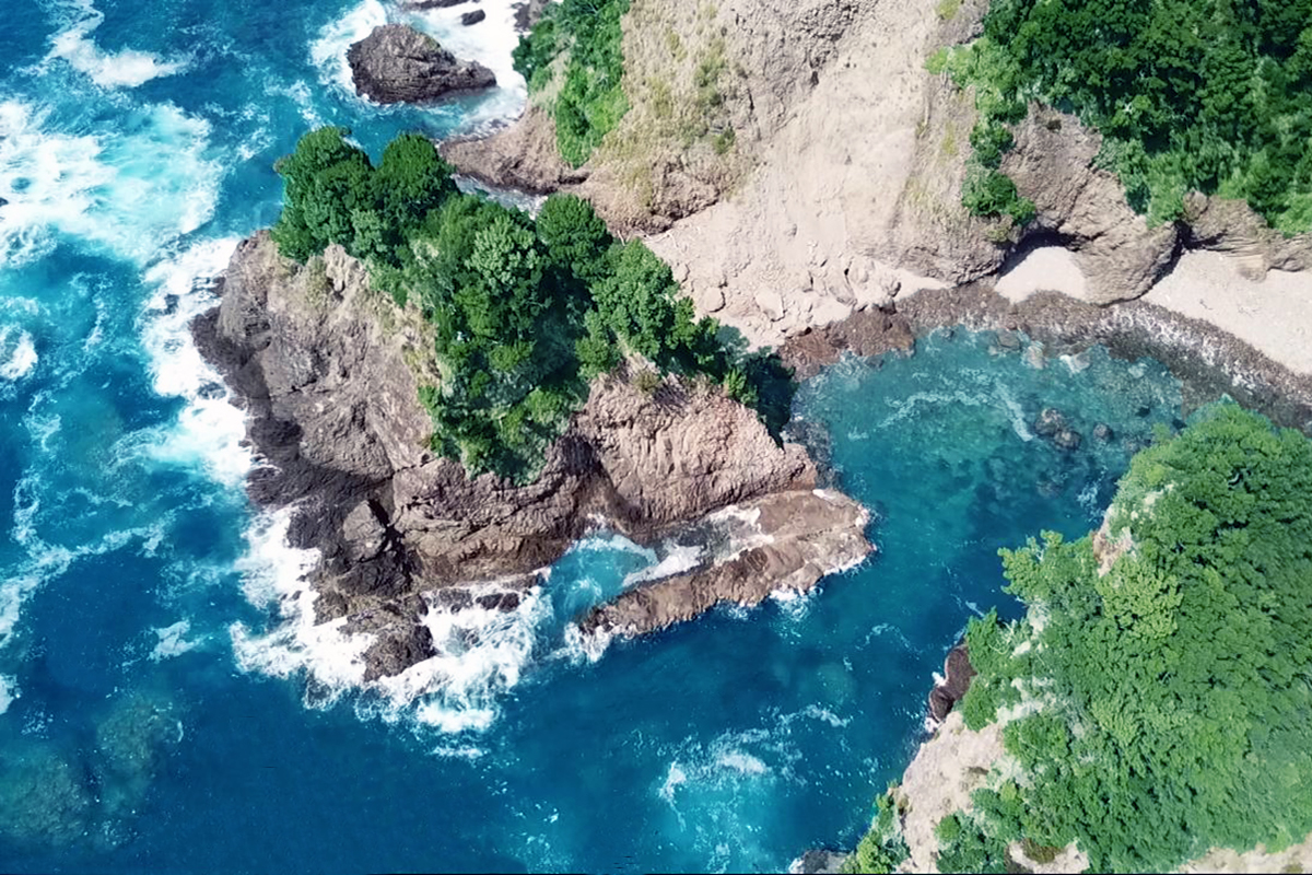 伊豆海底熟成ワイン