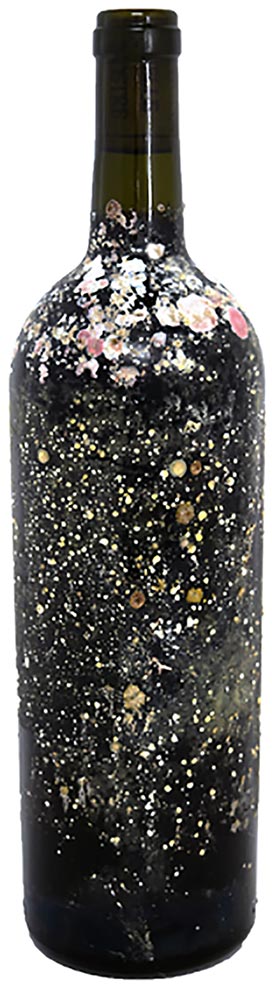 西伊豆海底熟成ワイン【コノスル 20バレル リミテッド・エディション】