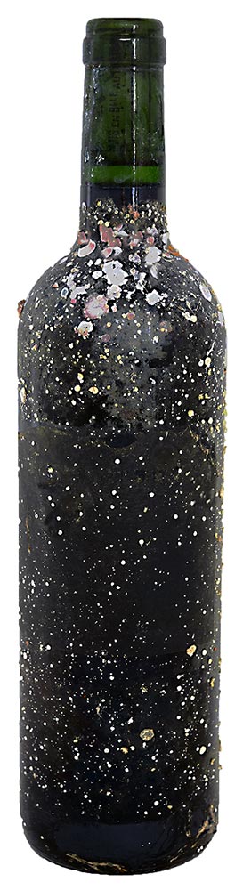 西伊豆海底熟成ワイン【シャトー・ピュイグロー】